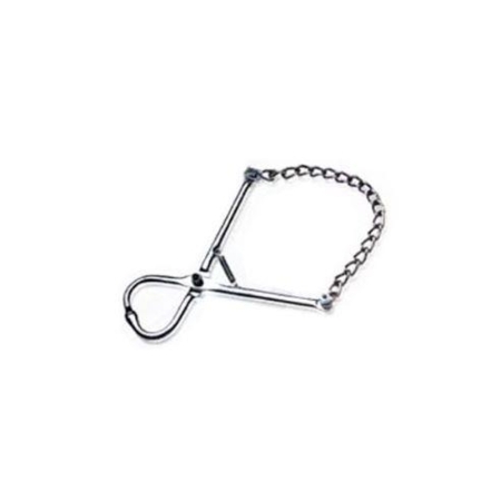 Bull Lead With Chain